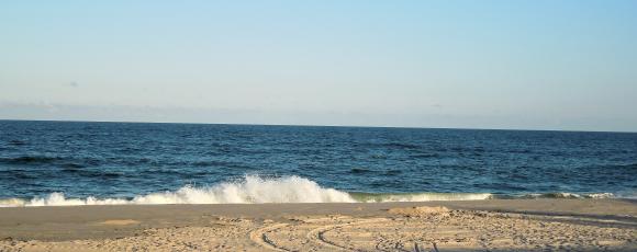 Verslagen Miniatuurvoorbeeld