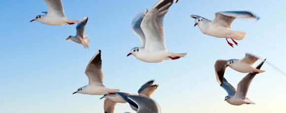 Gebouw 3 & 4 Miniatuurvoorbeeld