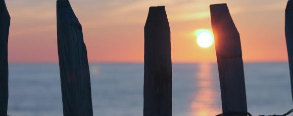 Tijdelijke huisvesting